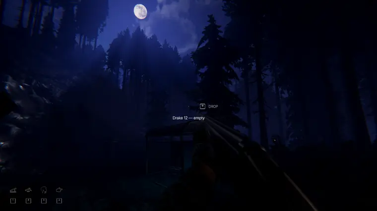 Moonlit pine forest seen over the barrel of an empty shotgun.